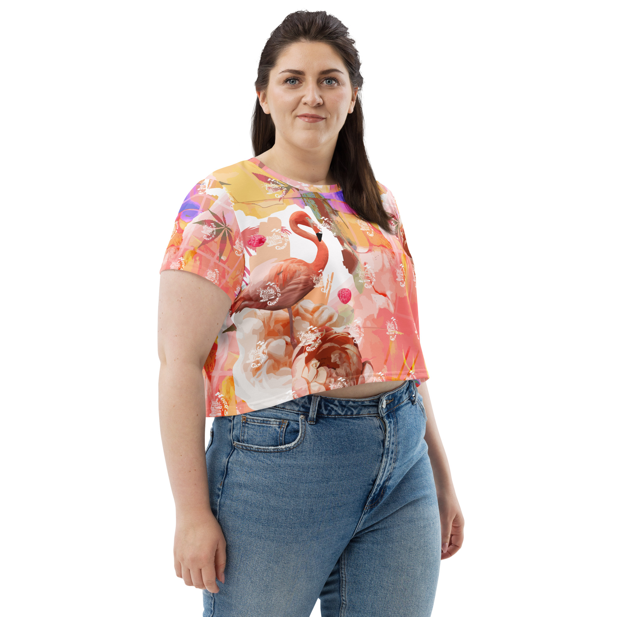 Flamingo Paradise Exc. | Crop Tee