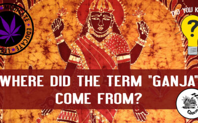 Where Did The Term Ganja Come From?